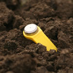 ibutton